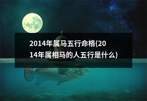 2014年属马五行命格(2014年属相马的人五行是什么)