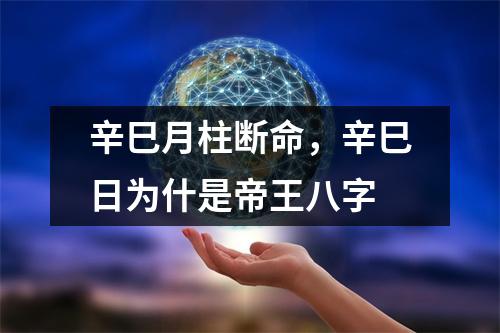 辛巳月柱断命，辛巳日为什是帝王八字