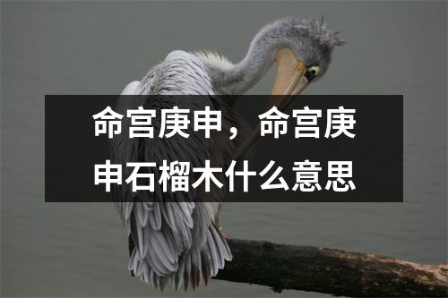 命宫庚申，命宫庚申石榴木什么意思