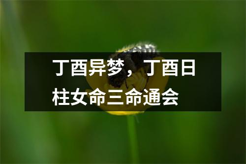 丁酉异梦，丁酉日柱女命三命通会