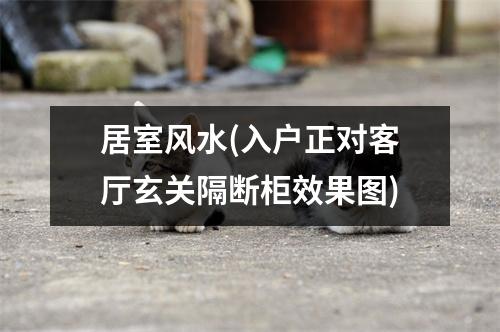 居室风水(入户正对客厅玄关隔断柜效果图)