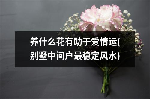 养什么花有助于爱情运(别墅中间户稳定风水)