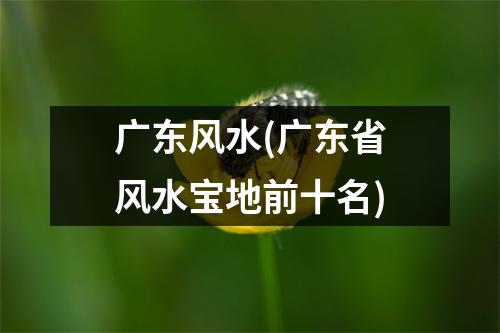 广东风水(广东省风水宝地前十名)