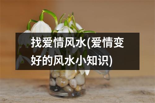 找爱情风水(爱情变好的风水小知识)