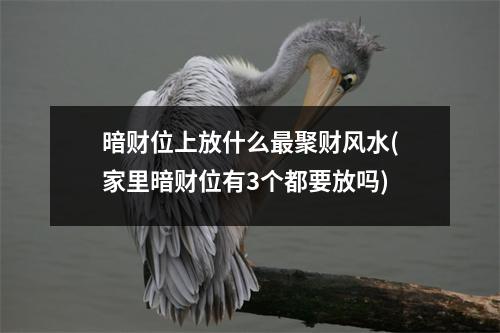 暗财位上放什么聚财风水(家里暗财位有3个都要放吗)