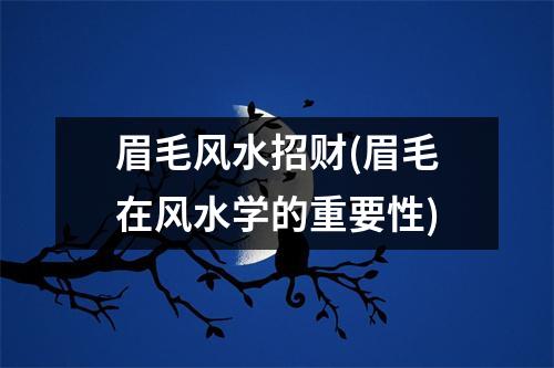 眉毛风水招财(眉毛在风水学的重要性)