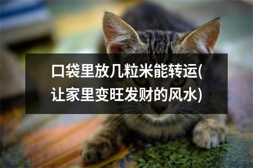 口袋里放几粒米能转运(让家里变旺发财的风水)