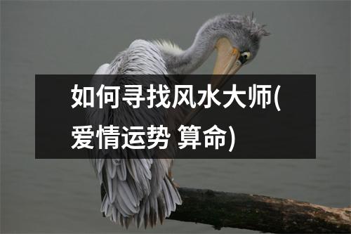 如何寻找风水大师(爱情运势 算命)