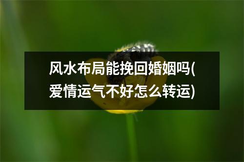 风水布局能挽回婚姻吗(爱情运气不好怎么转运)