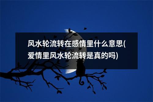 风水轮流转在感情里什么意思(爱情里风水轮流转是真的吗)