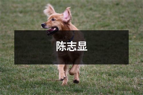 陈志显