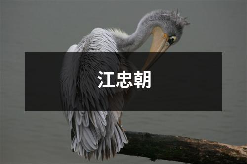 江忠朝