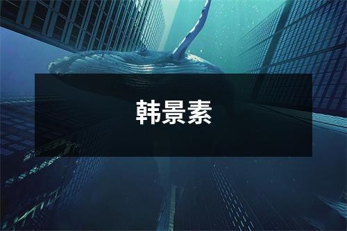 韩景素