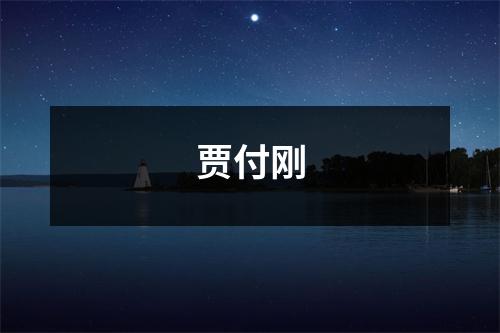 贾付刚