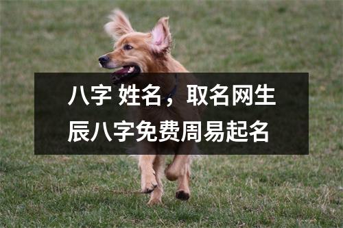 八字 姓名，取名网生辰八字免费周易起名