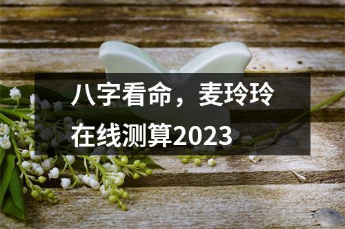 八字看命，麦玲玲在线测算2023