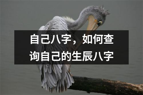 自己八字，如何查询自己的生辰八字