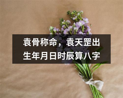 袁骨称命，袁天罡出生年月日时辰算八字