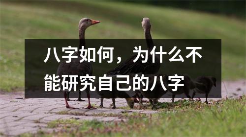 八字如何，为什么不能研究自己的八字