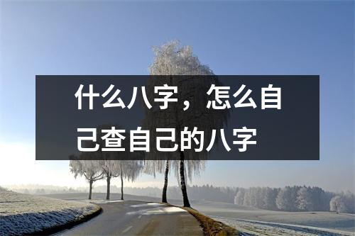 什么八字，怎么自己查自己的八字