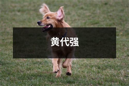 黄代强