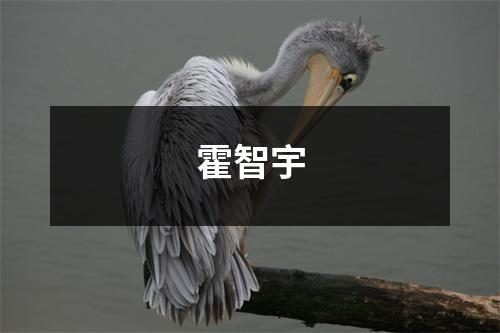 霍智宇