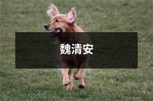 魏清安