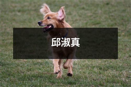 邱淑真