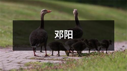 邓阳