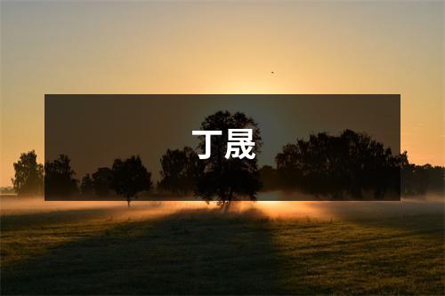 丁晟