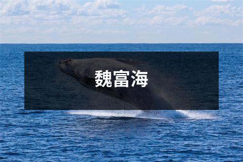 魏富海