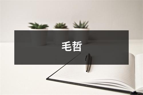 毛哲