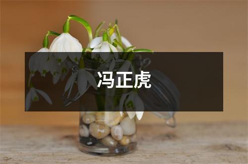 冯正虎