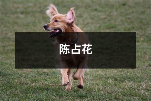 陈占花