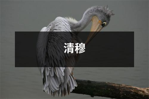 清穆