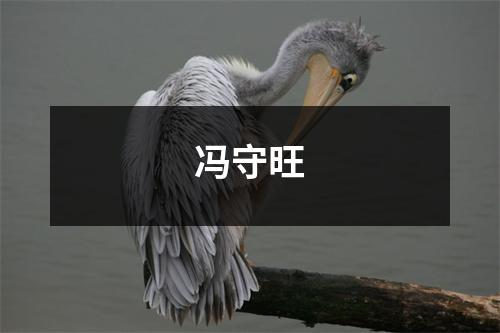 冯守旺