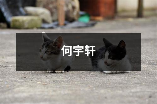 何宇轩