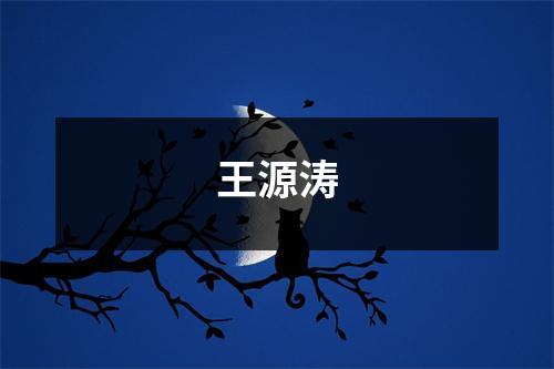 王源涛