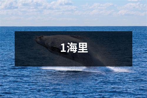 1海里