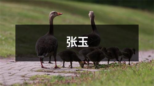 张玉