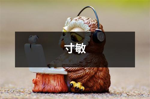 寸敏