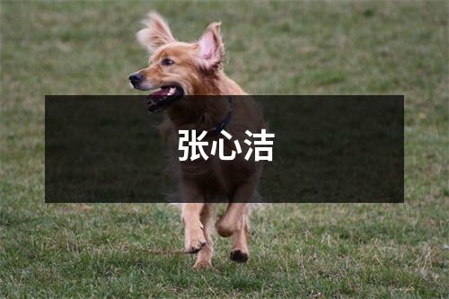 张心洁