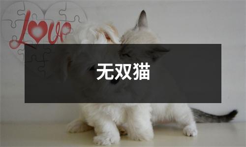 无双猫