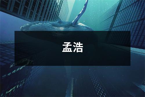 孟浩