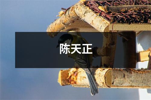 陈天正