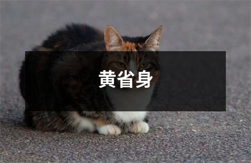 黄省身