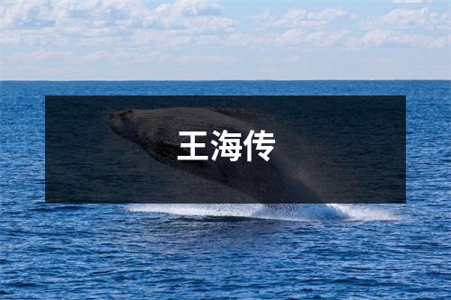 王海传