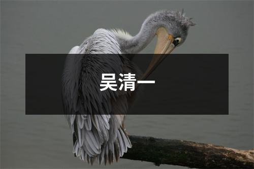 吴清一