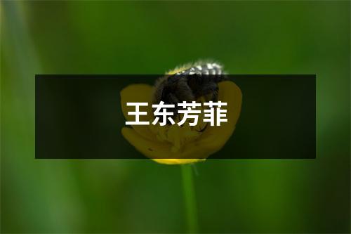 王东芳菲