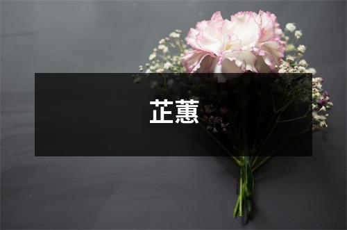 芷蕙